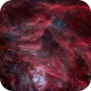 Sh2-115, LittleGhost