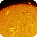 Active Regions & Western Prominence - 15th July 2025, hughsie