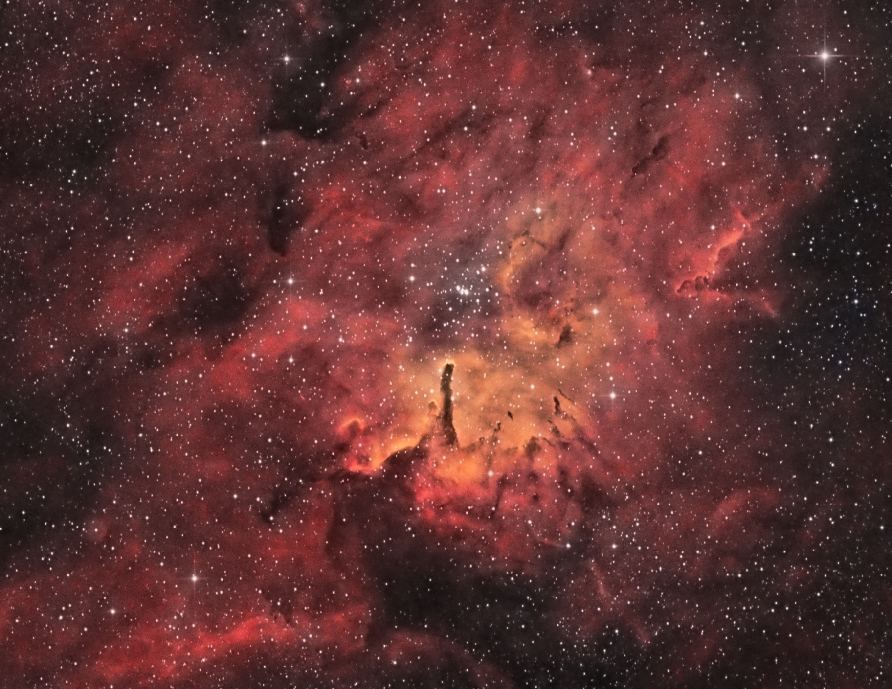 NGC 4565 - Celestron C11 - HyperStar - Asi 183mm Pro - 180 x