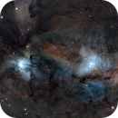 IC4603 and IC4604, Anne-Maree McComb