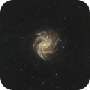 NGC 6946 Fireworks Galaxy, 02-Aug-2024, Ron Lundgren