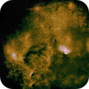 Fish on a Platter Nebula Barnard 144 SHO, Peter Bresler