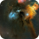 Rho Ophiuchi, Oamaruastro