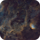 Tulip Nebula and WR134 in SHO, Max Kuster