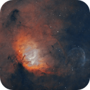 Sh 2-101 Tulip Nebula & Cygnus X-1 Bow Shock, SpaceImaging