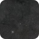 M11 - Wild Duck and its broader region - Dwarf3, Leela.Astro.Imaging