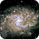 Triangulum Galaxy M33, Peter Bresler