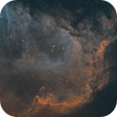 IC 1848, John Leader