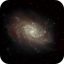 Triangulum Galaxy M33, Peter Bresler
