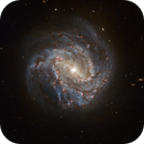 M83 (Southern Pinwheel Galaxy)  HaLRGB, Liam McDermott