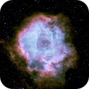 Rosette Nebula NGC 2238 SHO, Peter Bresler