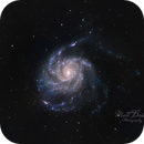 M101 (Pinwheel Galaxy), 07/04/2025, Matt Beddis