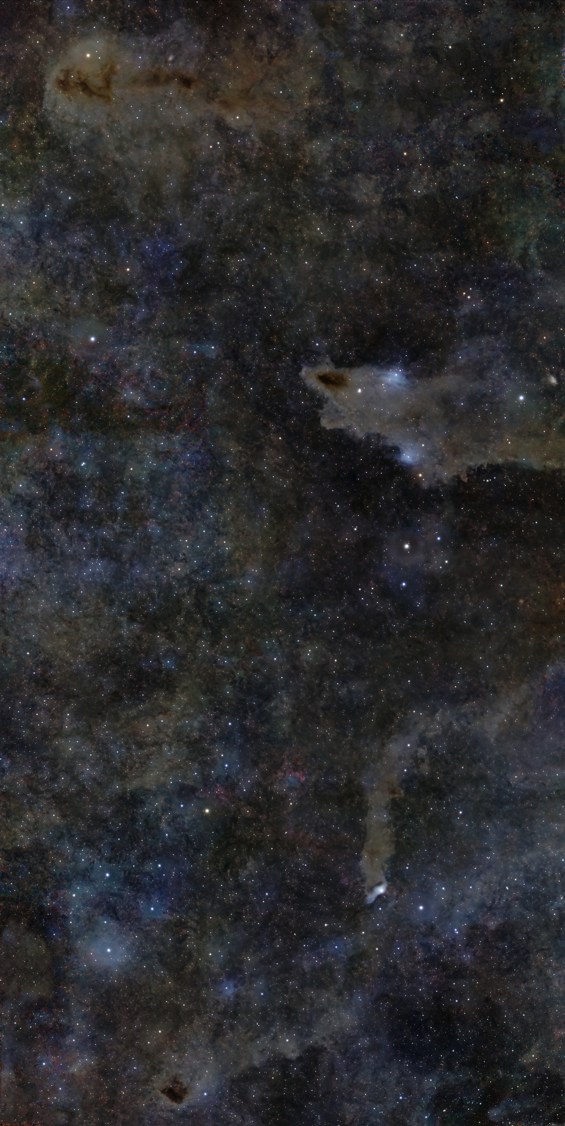 A wide collection of strange objects in Cepheus - fish, caves and toasters (An S30 multi-panel)