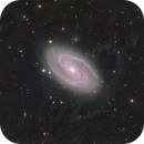 Bode Galaxy M81, Matej Lindič