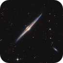 NGC 4565 with 10 Zoll_crop, Mario Richter