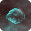 Dolphin Nebula SH2-308 HOO, Peter Bresler