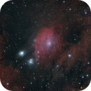 IC1283, Andrew Murrell