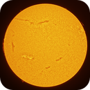 The Sun, 22 June 2025, 2:50pm, Troy