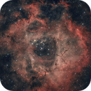 My Take on the Rosette Nebula (NGC2244), Matt Sunkin