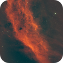 NGC1499 / The California Nebula, Sean McDaniel