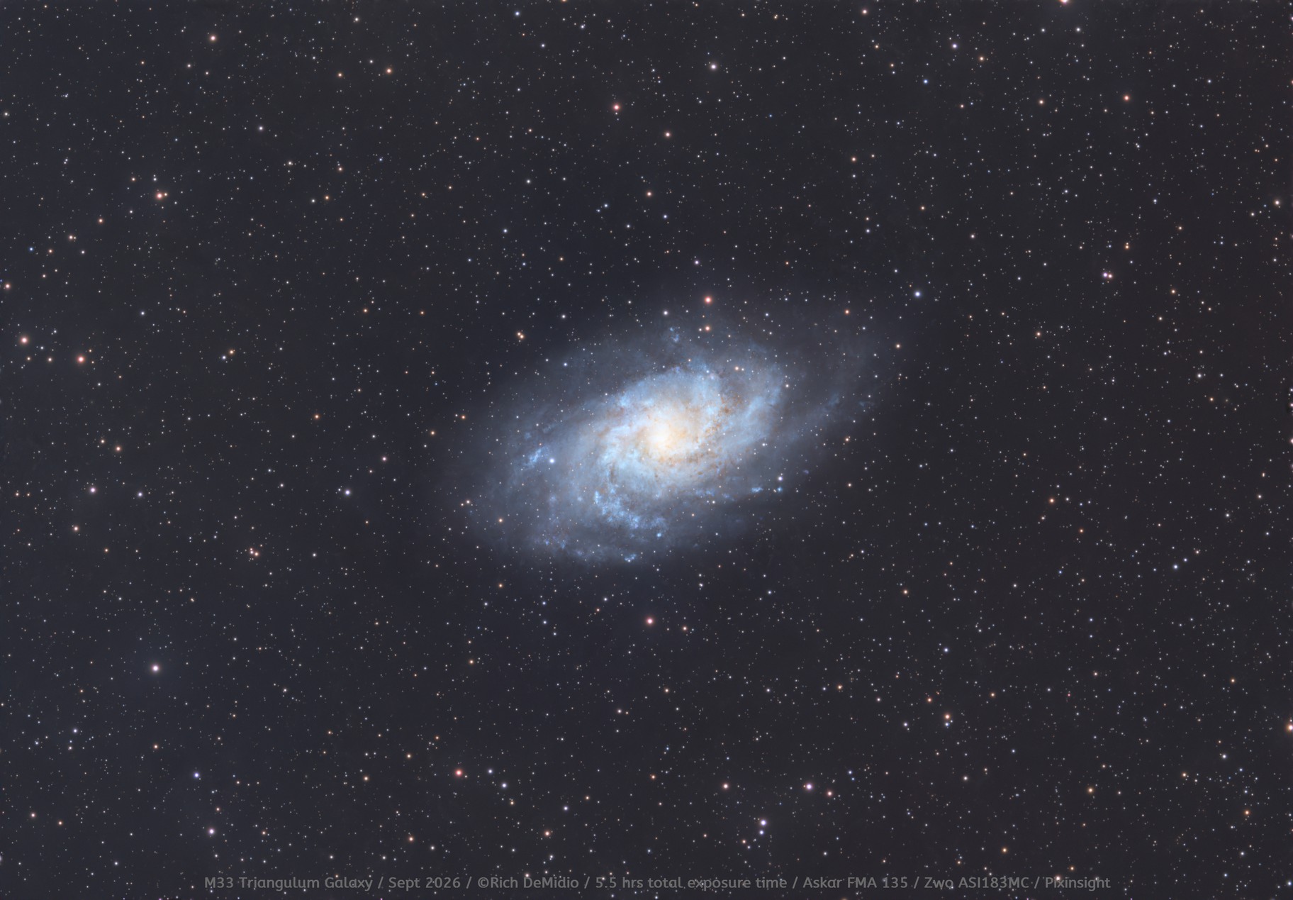 M33 wide field