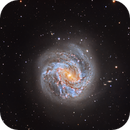 Southern Pinwheel Galaxy M83 in HaLRGB, Mohammed Dawoud