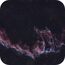 The Eastern Veil, Catherine Ryan Hyde