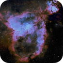 SH2-190, IC 1805 (Heart Nebula),  IC 1795 (NGC 896), WeBo1 (PN G135.6+01.0) in HOO, Lucio Tellini