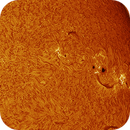 AR14118 AR14117 in h-alpha taken 21062025, nonsens2