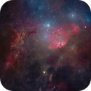 Cometary Globules in Pupis, John Dziuba