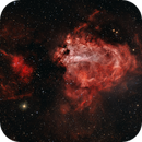 Cygnus or Ω, Andrew Murrell