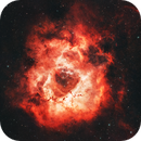 The Rosette Nebula (2025), Daniel Tackley