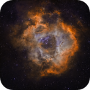 Rosette in simulated Hubble Palette, Bozo