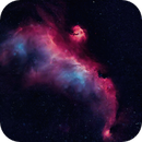 Seagull Nebula, Bozo