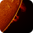 solar prominence in h-alpha taken 29062025, nonsens2