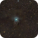 NGC 7023 Iris Nebula, David Goldstein