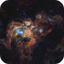 The tip of Scorpius’s tail, Evan Tsai