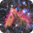 SH2-278 Mountain in the Mist of Orion, Alpha Zhang