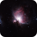 NGC 1976 (M42, Orion Nebula), Paul Evans