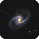 NGC 1365 from Winter Star Party 2025, Alex Varakin