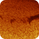 solar filament in h-alpha taken 25062025, nonsens2