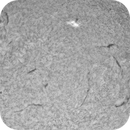 Filaments across the solar equator, hughsie