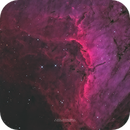 IC 5070 - PELICAN NEBULA, Francesco di Biase