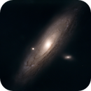 Starless M31, Catherine Ryan Hyde