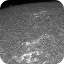 Sun H-alpha: Chromosphere 27.04.2025, Olegs_Astrophotography