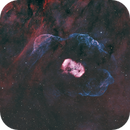 The Dragons Egg Nebula, NGC6164 & NGC6165, Frank Arapovic