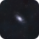 NGC 2403, Bozo