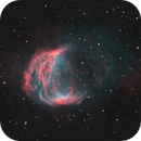 Sh2-274 "Medusa" Planetary Nebula, Mark Germani