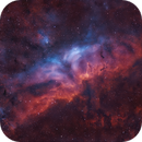Sh2-34 - Ha Oiii Sii - RGB, Claudio Ulloa Saavedra
