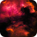 Pelican Nebula, Bozo